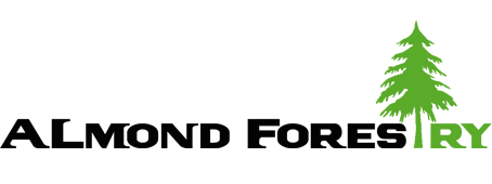 Almond forestry retina logo